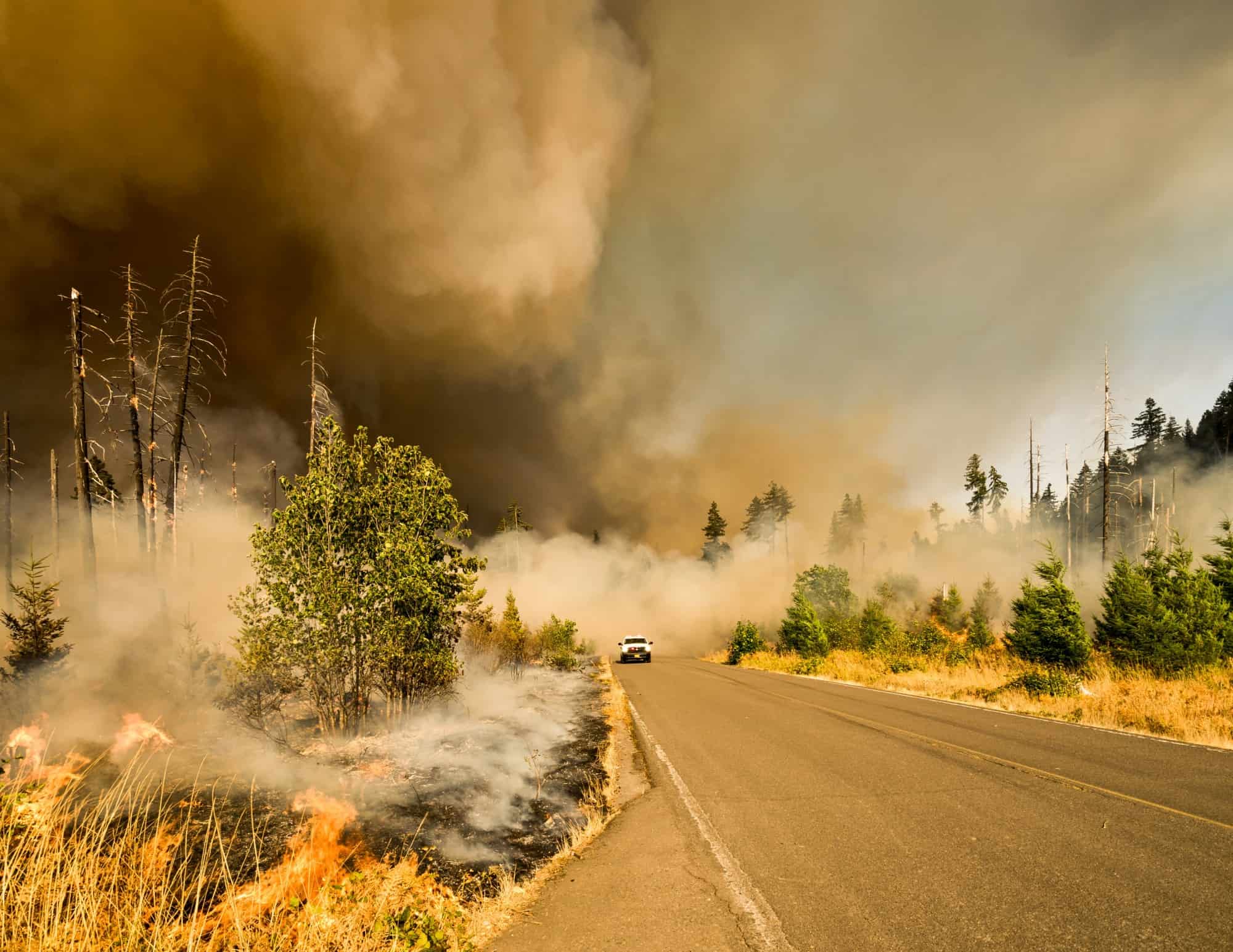 Wildfires on the west coast of the US