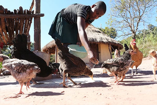 Because of your Gifts of Hope donations, Violet, 17, in Zimbabwe, won’t go hungry and her family will have a better shot at affording her school fees.