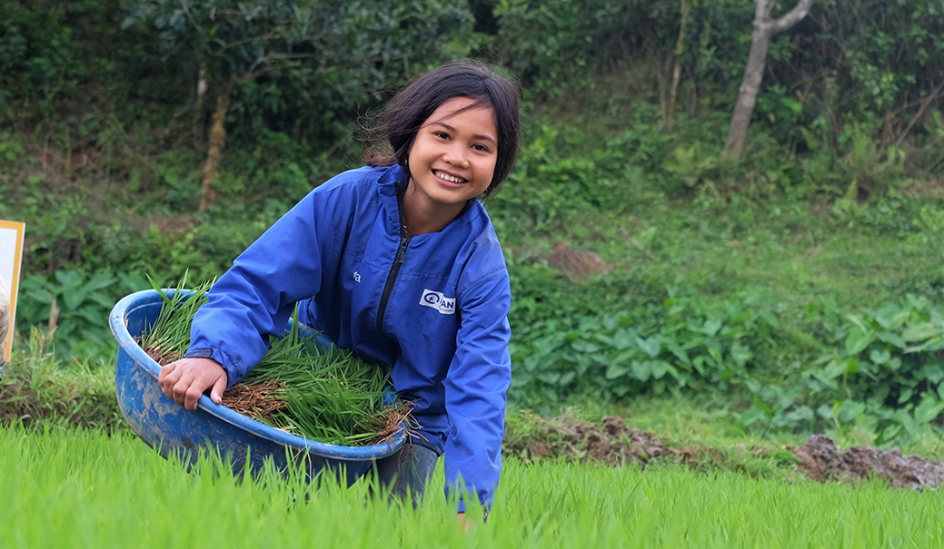 Young Girl Gathering Seeds In Vietnam