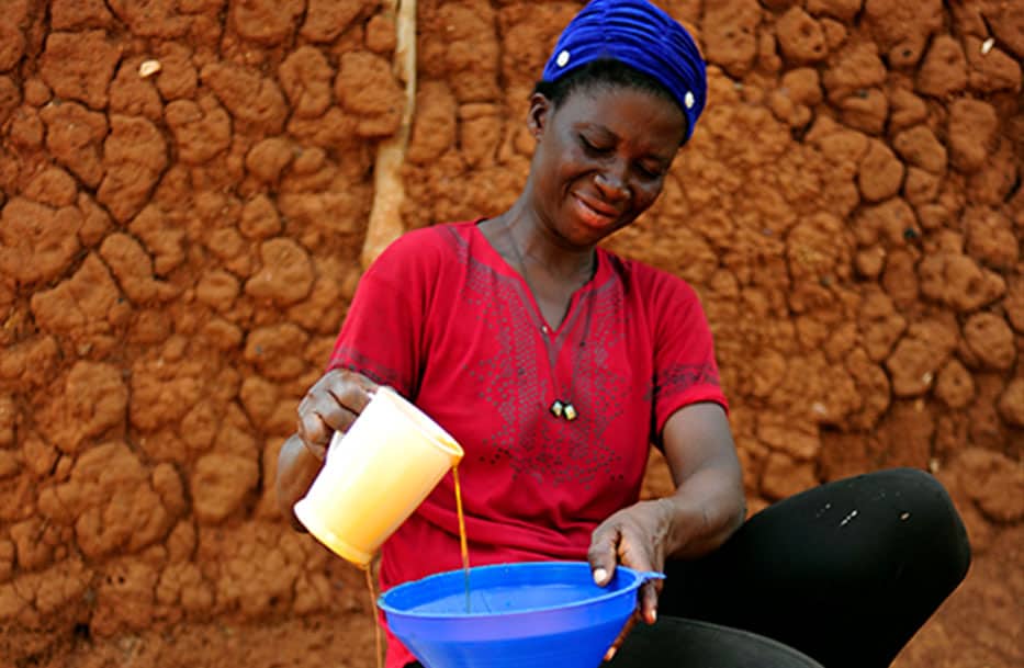 A beekeeper in Ghana; bees have become an economic savior in Ghana