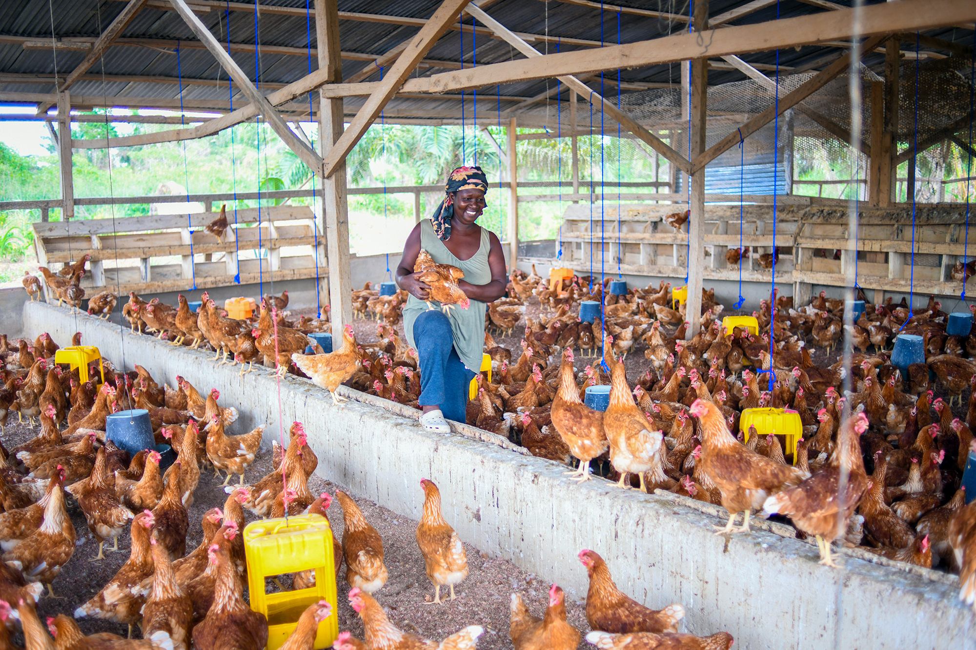 50-year-old Naomi is the owner of a poultry farm in a small farming community in the Bono region of Ghana