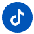 Plan USA TikTok Icon