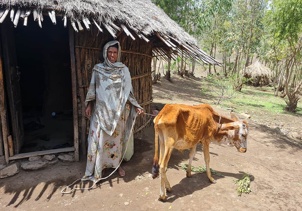 “I spend my time looking after this calf,” Halima says. “I don’t know if the calf will survive. If this calf dies, I am not sure about my own survival. All I have left is this calf, so I share some of my food with it as I love it so much.”