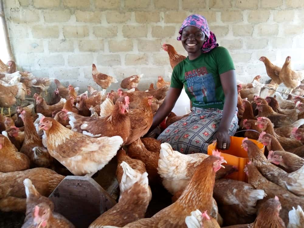 Girl sits among dozens of chickens, smiling at camera.