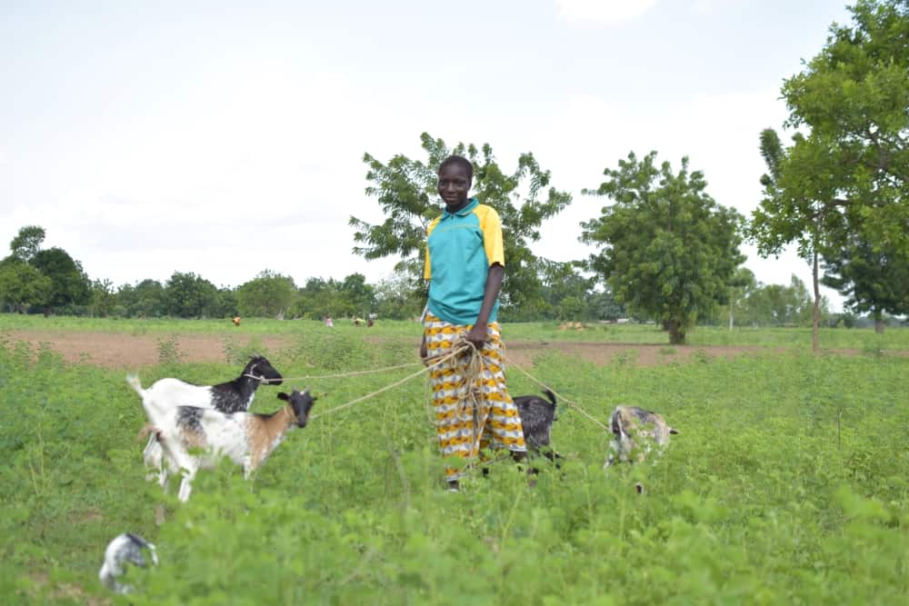 Girls stands in a grassy field with goats.
