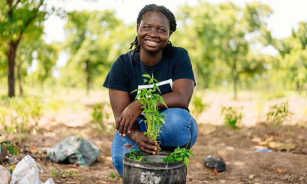 Olivia plants a seedling on her small farm in northern Ghana. 