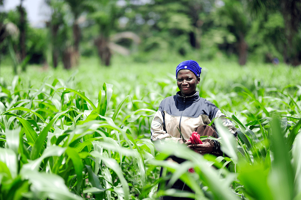 African woman stands in a lush, green crop field.