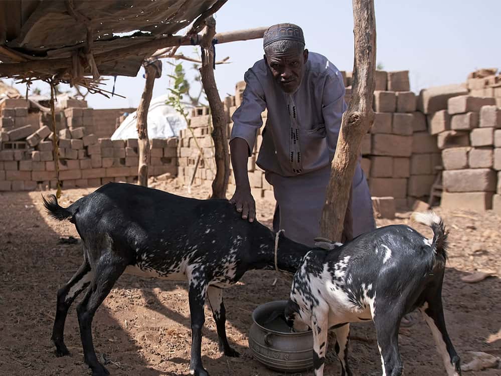 An African man stands with two black and white goats, one hand on each, as the goats eat from a bowl on the ground. They are standing on an outdoor patio with a dirt floor, partially covered by a wooden roof and surrounded by piles of bricks. 