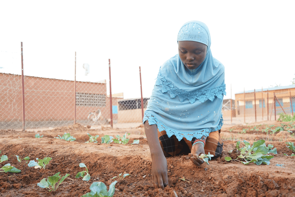 Laeticia plants seedlings in her school garden. 