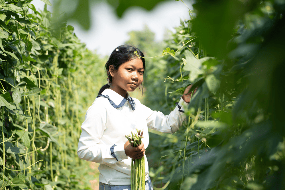 Teenage girl Seila wearing a white shirt stands in a green bean field holding a bundle of beans in her hand.