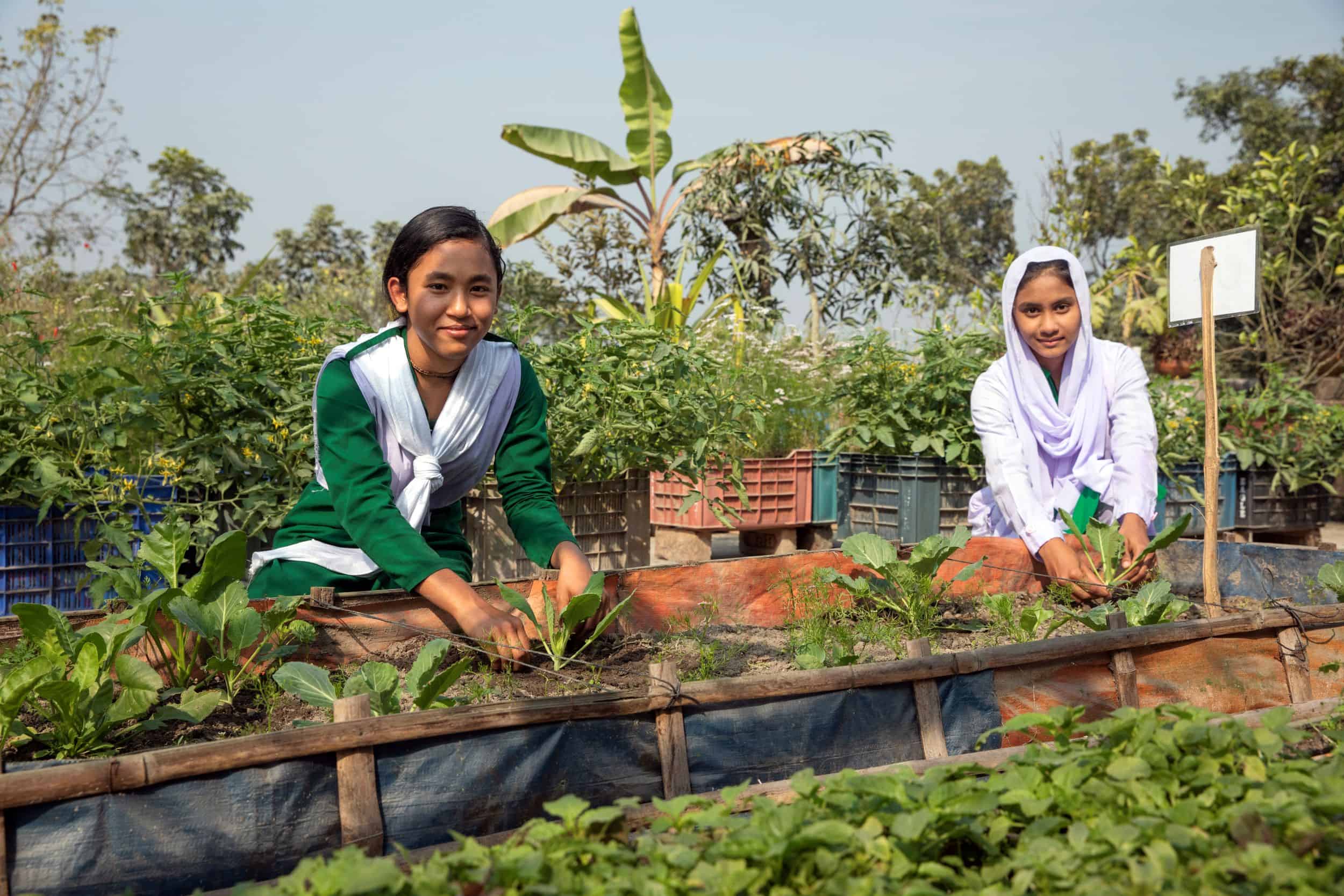 Two girls, Pallabi and Razia, work in their rooftop school garden in Rangpur, Bangladesh, surrounded by green plants and vegetable beds. The garden is part of a Plan International project promoting nutrition and climate-smart agriculture.