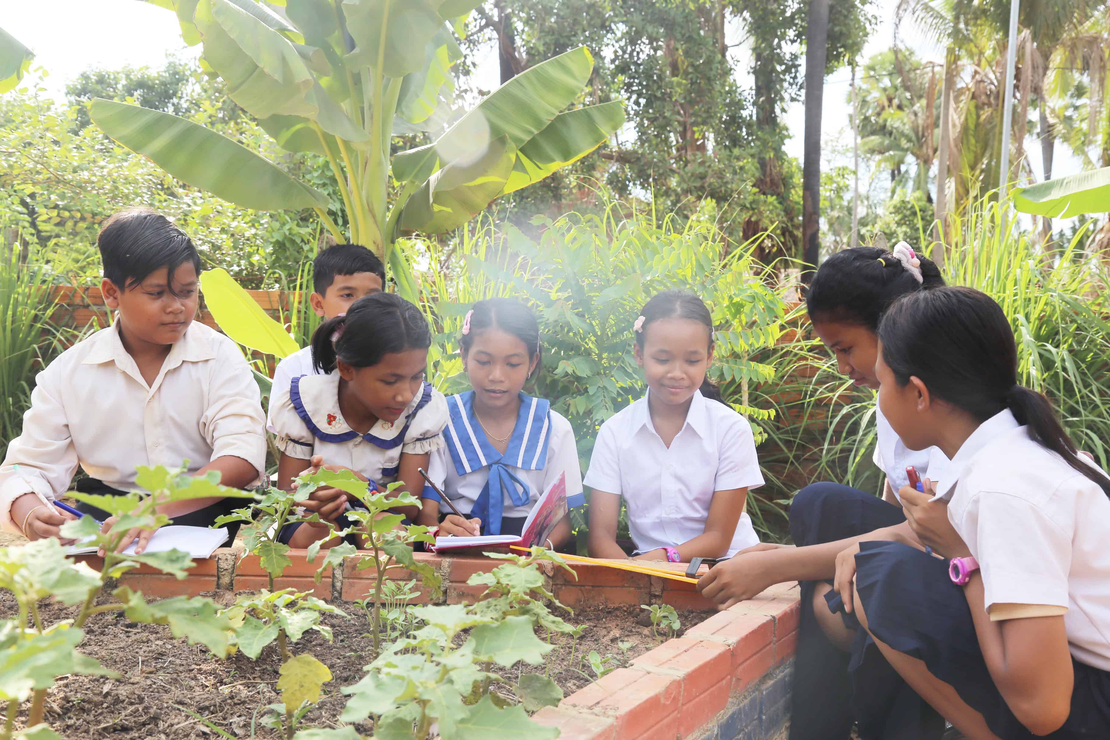 A group of primary school students in Cambodia sits around a raised garden bed, using a protractor to measure angles while taking notes. The school’s learning garden provides hands-on lessons in math, science and agriculture.