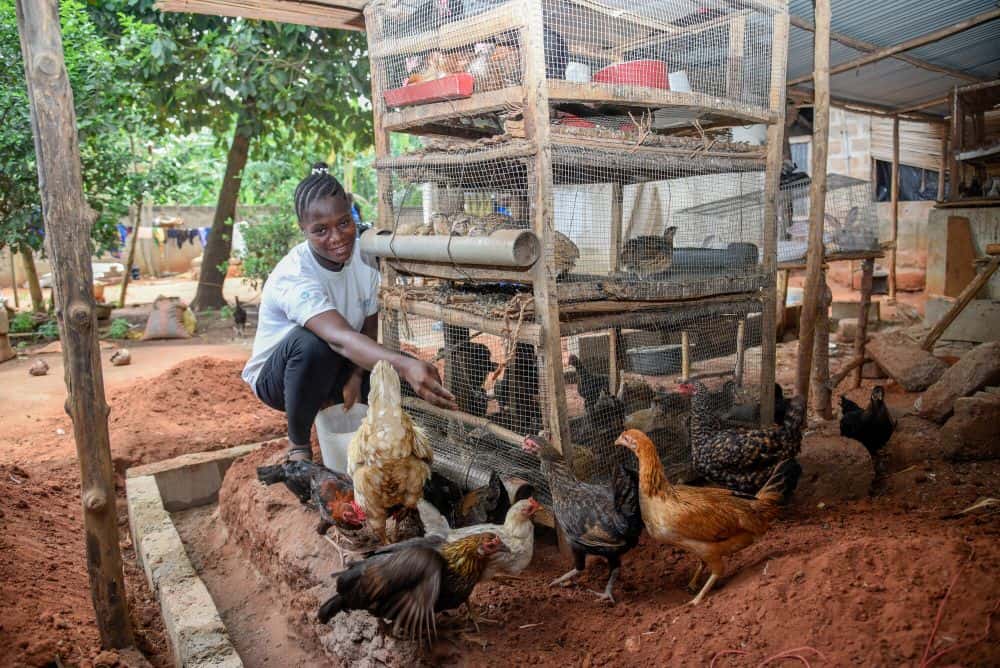 A young woman feeds chickens outside on her poultry farm.